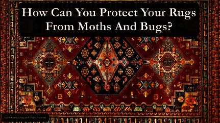 How Can I Protect My Rug From Moth Damage?