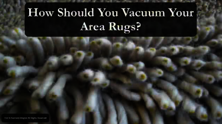 How Should I Vacuum My Area Rug?